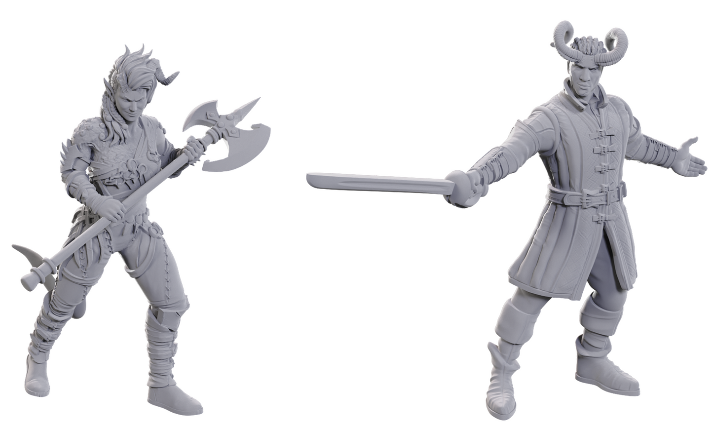 D&D Nolzur's Marvelous Miniatures: Special Edition Baldur's Gate 3- Wyll and Karlach