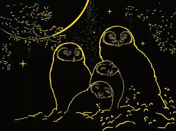 Owls in the Moonlight- 500pc Glow in the Dark Puzzle
