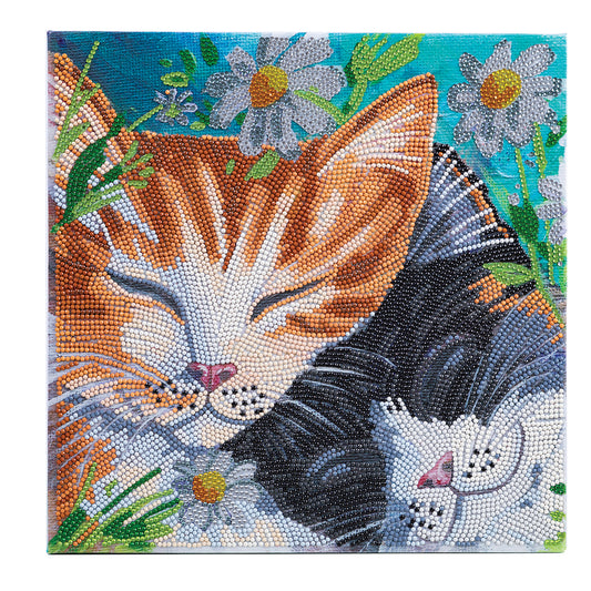 Crystal Art Kit (Medium)- Sleepy Cats