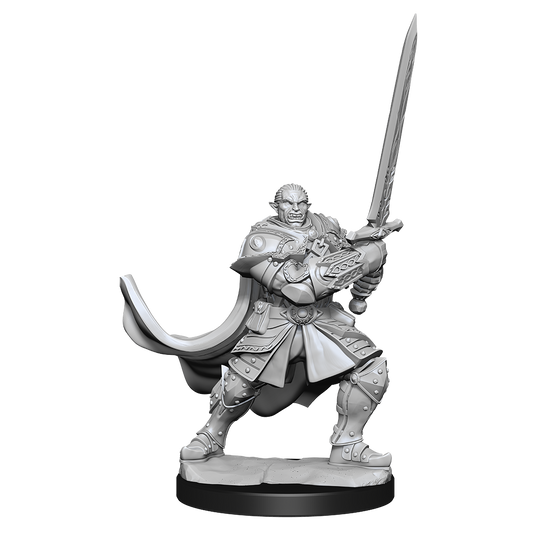 D&D Unpainted Minis: Wave 15: Male Half-Orc Paladin