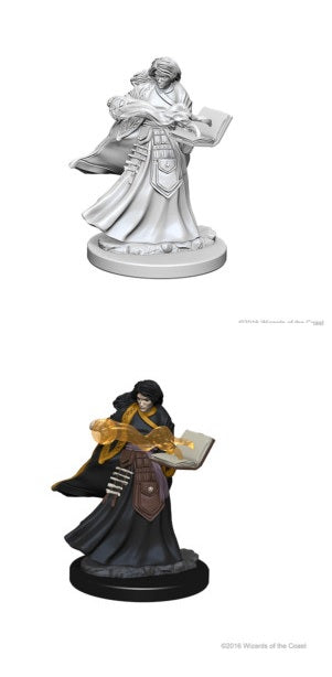 D&D Unpainted Minis: Wave 1: Female Human Wizard