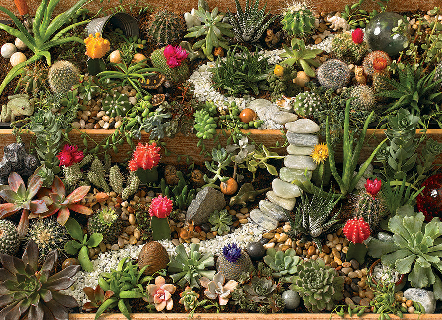 Succulent Garden - 1000pc