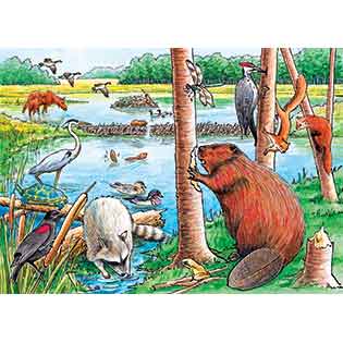The Beaver Pond- Tray puzzle
