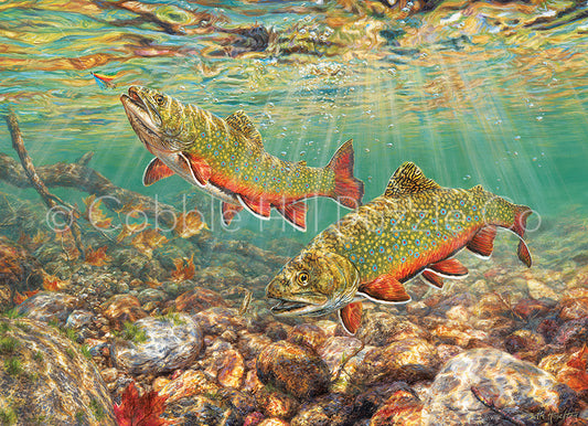 Brook Trout