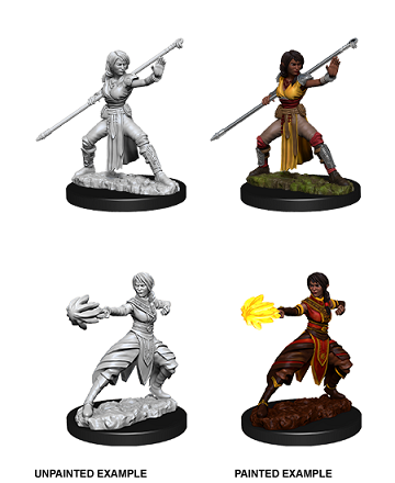 D&D Unpainted Minis: Wave 10: Female Half-Elf Monk