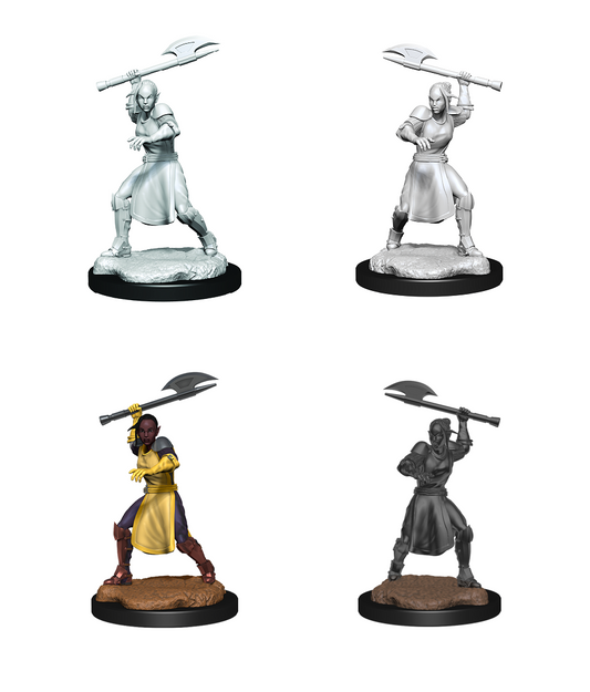 CR Unpainted Minis: Wave 1: Half-Elf Echo Knight/Female