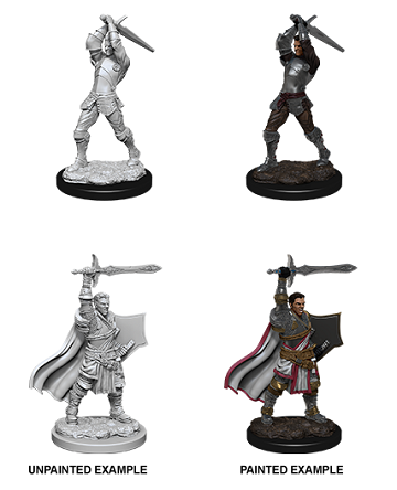 D&D Unpainted Minis: Wave 12: Male Human Paladin