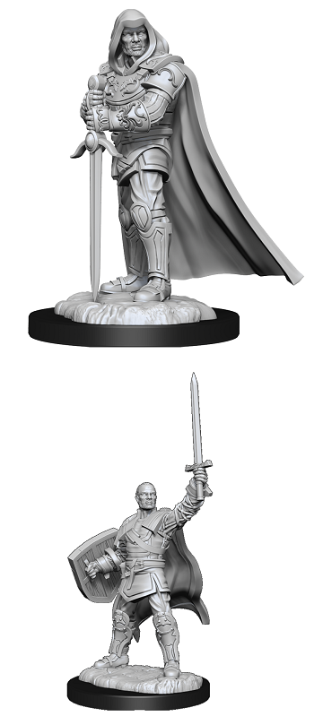D&D Unpainted Minis: Wave 13: Human Paladin Male