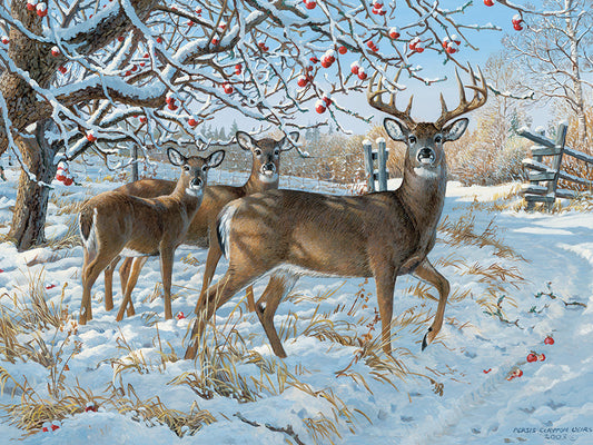 Winter Deer