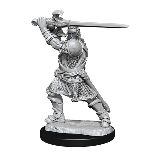 D&D Unpainted Minis: Wave 14: Human Male Paladin