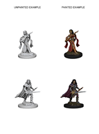 PF Unpainted Miniatures Wave 4: Human Female Bard