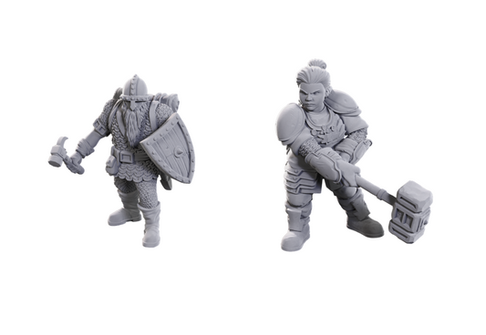 DND Unpainted Minis Limited Edition 50th Anniversary: Dwarves