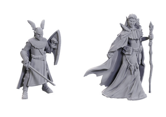 DND Unpainted Minis Limited Edition 50th Anniversary: Elves