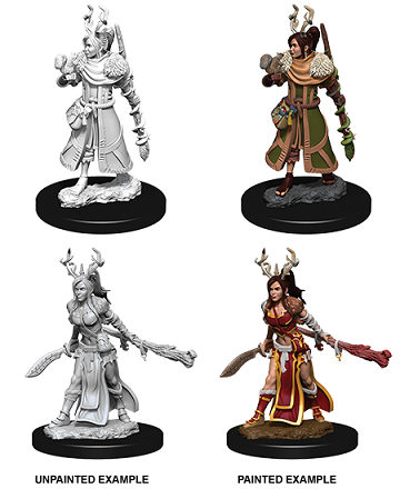 D&D Unpainted Miniatures WV9: Female Human Druid