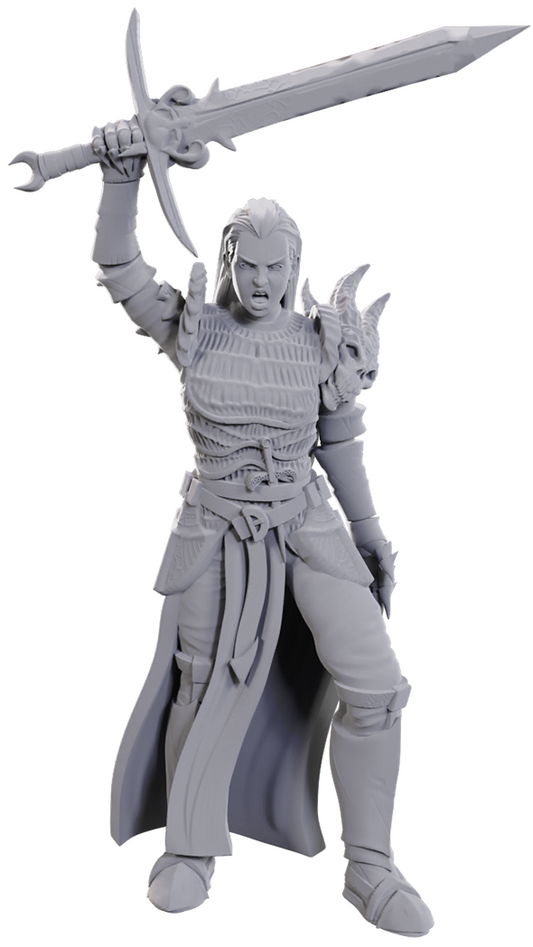 D&D Unpainted Miniatures WV25: Blackguard