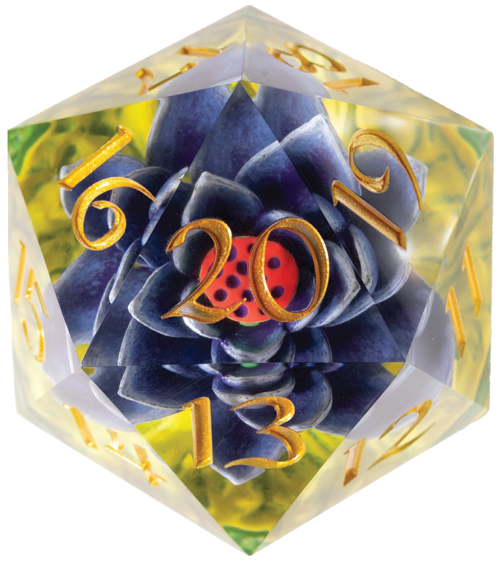 SD D20 MTG Black Lotus