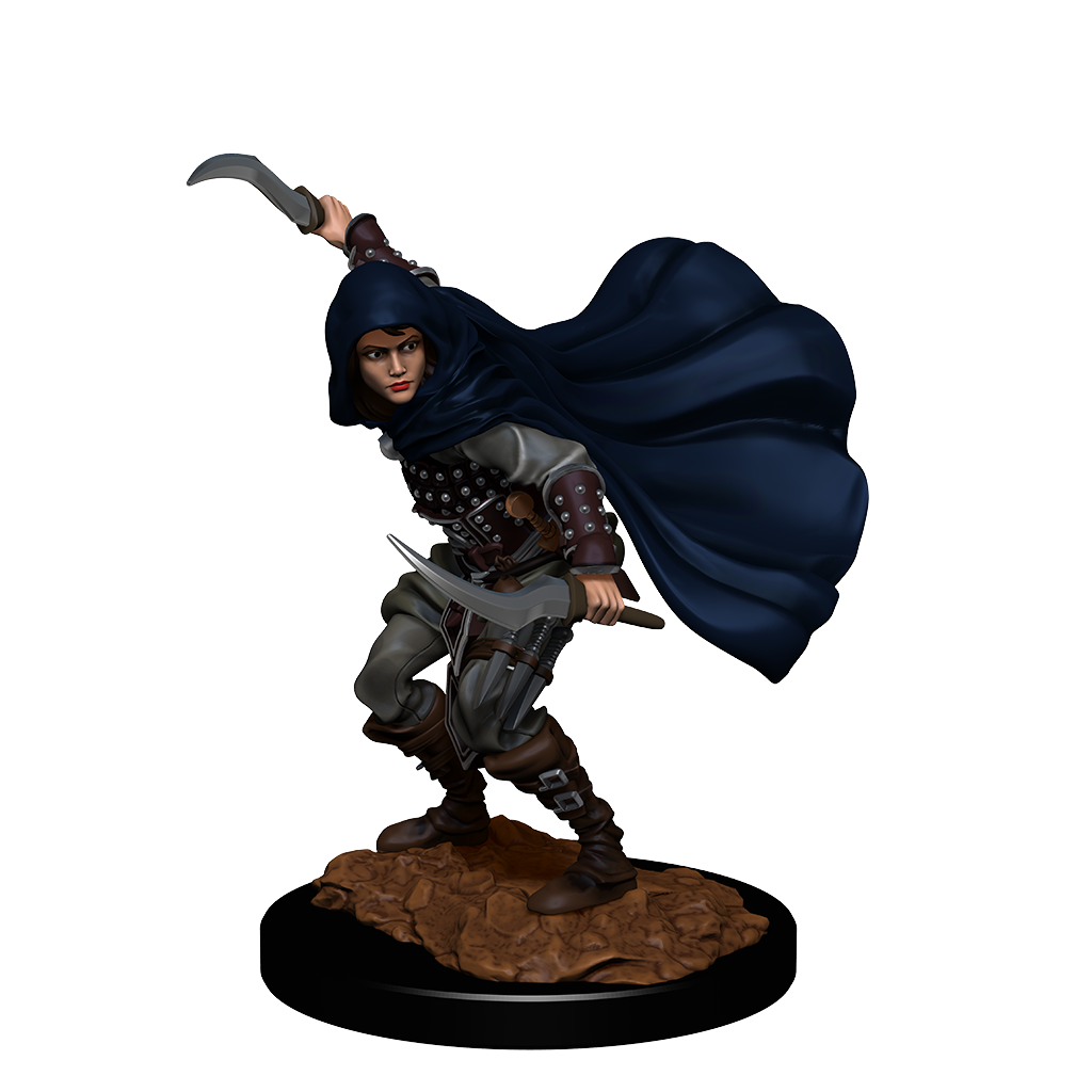 PF Unpainted Miniatures Wave 14: Human Female Rogue