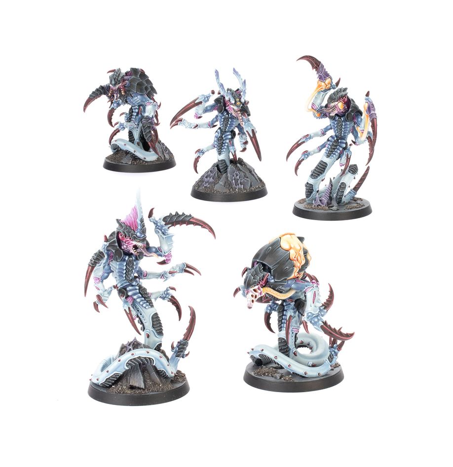Killteam: Typhon