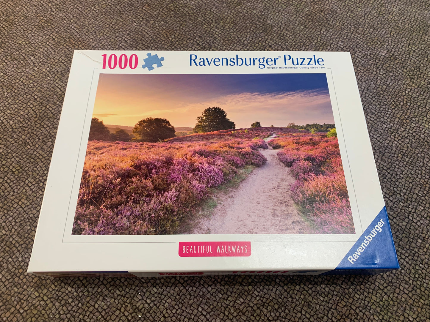 Beautiful Walkways: Pink Pathway- 1000pc Puzzle (Damaged Box)