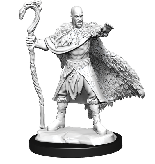 D&D Nolzurs Marvelous Unpainted Miniatures: Wave 14: Human Druid