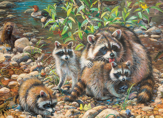 Raccoon Family (Family) - 350pc