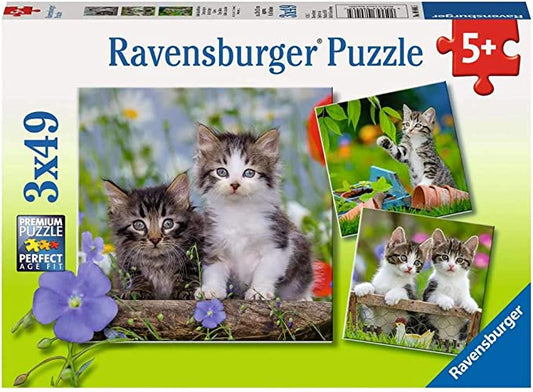 Cuddly Kittens - 3x 49pc Puzzles