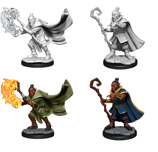 CR Unpainted Minis: Wave 1: Hobgoblin Wizard and Druid