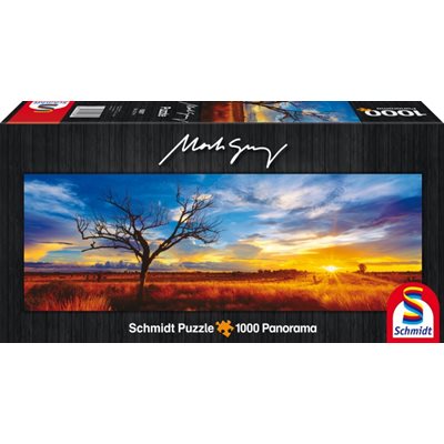 Desert Oak At Sunset