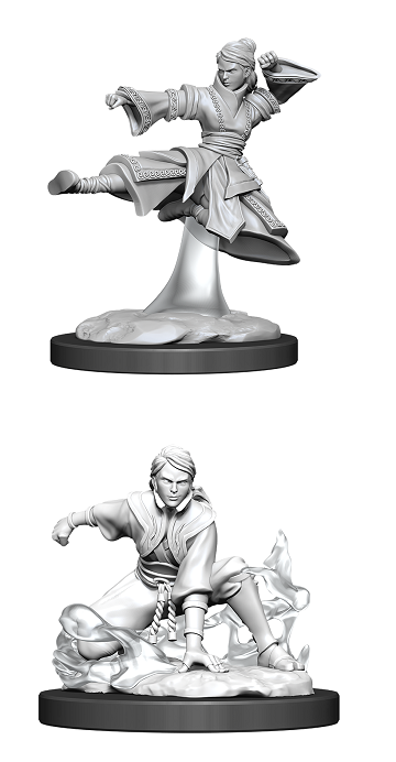 D&D Unpainted Minis: Wave 11: Female Human Monk