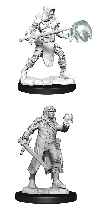 D&D Unpainted Minis: Wave 13: Fighter/Wizard Male