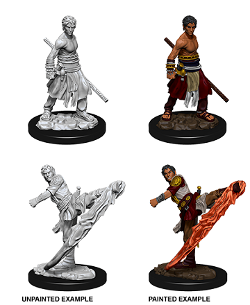 D&D Unpainted Minis: Wave 10: Male Half-Elf Monk