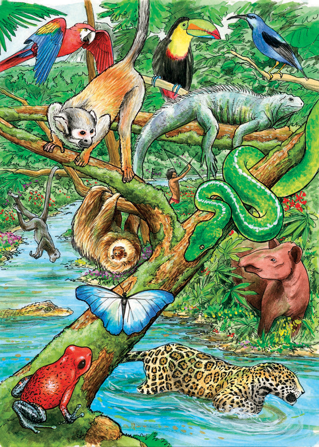 Life in a Tropical Rainforest- Tray puzzle
