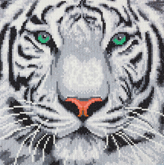 Crystal Art Kit (Medium)- White Tiger